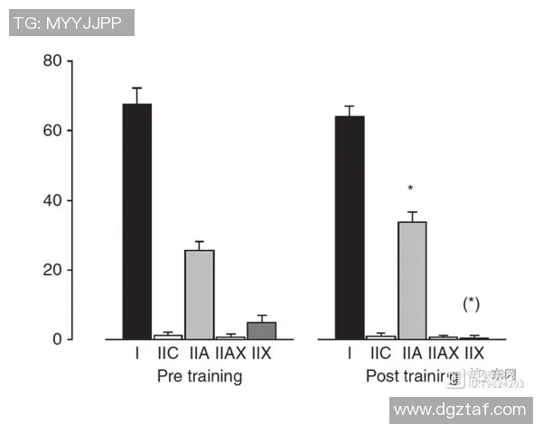 北京排球队耐力表现创新高引发关注排球耐力排名再攀新高峰